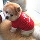 thumbnail image 3 of Xihbxyly Abrigo de Invierno para Perro, Diseño con Estampado Navideño, Suave Felpa, Cálido y Moderno, Ideal para Viajes de Invierno y Vacaciones. Disponible En Varios Tamaños, de Xs a L., 3 of 6