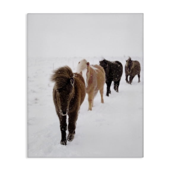 Stupell Industries Farmhouse Winter Horses Walking White Field Snowy Weather Canvas Art, 24 x 30, by Amy Brinkman