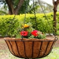 thumbnail image 6 of (3) Pre-Molded Coco Plant Liners 10 inches Round Coco Replacement Hanging Basket Natural Formed Coconut Fiber Planter Liners for Home Hanging Garden Flower Vegetables Pot & Custom Storage Carrier, 6 of 7