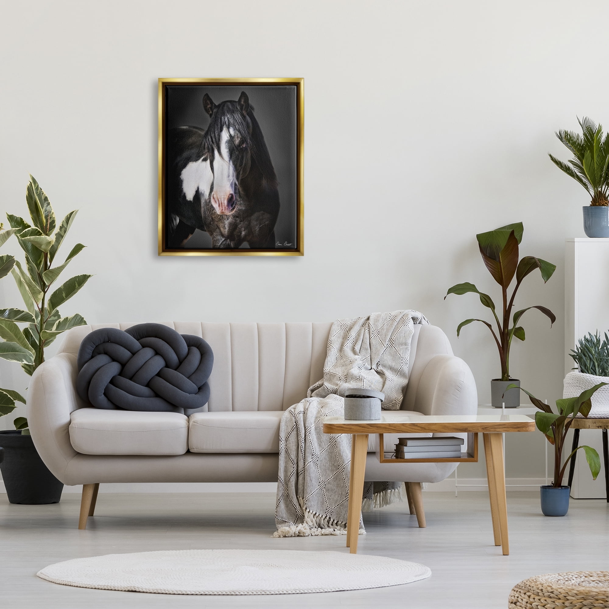 Stupell Industries Black & White Horse Animals & Insects Photography Gold Floater Framed Canvas Art Print Wall Art, 25 x 31
