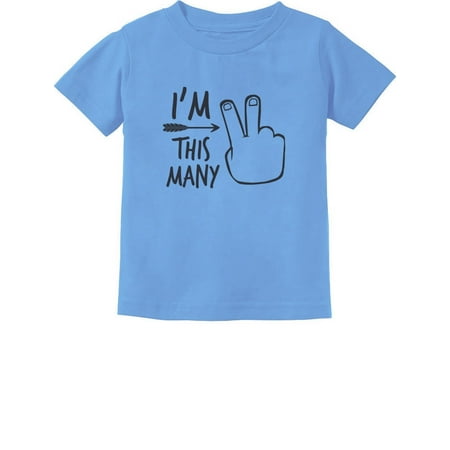 

Tstars Boys Unisex 2nd Birthday Gift Birthday Gift for 2 Year Old Birthday Shirts for Baby Boy Birthday Party Tshirt B Day Graphic Tee Toddler Kids Graphic T Shirt