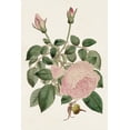 thumbnail image 2 of Ridgeway 13x18 White Modern Wood Framed Museum Art Print Titled - Pink Floral Mix II, 2 of 4