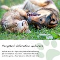 thumbnail image 5 of pet positioning defecation inducer pet toilet inducer urine and feces positioning toilet trainer, 5 of 5