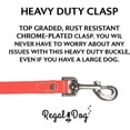 thumbnail image 5 of Regal Dog Products Waterproof Collar & Leash Set - Heavy Duty Center Ring Collar & 5' Leash, 5 of 8