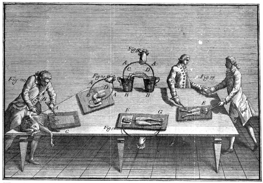 Galvani Galvanism, 1791. /Nline Engraving From Luigi Galvani'S Work On