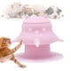 thumbnail image 1 of Tazón de leche para mascotas con ventosa de silicona, dispositivo de alimentación para proteger el nacimiento con múltiples tetinas, adecuado para gatitos y cachorros. Dispositivo de alimentación de s, 1 of 6