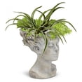 thumbnail image 3 of Ensemble de 12 Jardinières pour Femmes avec Cheveux Soufflés, 3 of 3