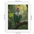 thumbnail image 2 of Paint By Numbers Kit for Adults Beginner - Exotic Bird Forest Perch Necklace DIY Canvas Painting Kits for Adults, Frameless Paint By Number for Adults for Home Wall Decor 16x20 Inch, 2 of 7