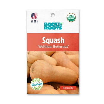 Back to the Roots  Waltham Butternut Squash Garden , 1 Seed Packet
