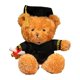 thumbnail image 2 of Osito de doctor para la temporada de graduación con peluches de graduación, muñeco de graduación, muñeco de tela, regalo de graduación para regalar., 2 of 5