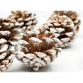 thumbnail image 5 of Black Duck Brand Assorted Pinecone Christmas Table Scatter! Glitter Frosted Winter-Themed Pinecones Perfect for Decorating for The Holiday Season! (15, Snow Tipped), 5 of 5