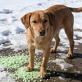 thumbnail image 6 of BANIRO 2026 New Pet Safe Ice Melt - Fast-Acting,Non-Toxic Ice Melter for Driveways,Sidewalks and Patios - Paw-Friendly Formula Safe for Dogs,Cats and Landscaping, 6 of 6