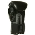 thumbnail image 3 of Forza Sports Vinyl Boxing Training Gloves - 12 oz. - Black/Gray, 3 of 3
