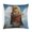 Pattern-2, variant on Pillowcases Illustration Of A Robin Bird Outdoor Square Pillow Cushion Cases 16"x16" Modern Decorative Pillow Covers for Couch Sofa Bedroom Car Watercolor Birds Animal Throw Pillows for Bed