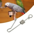 thumbnail image 3 of Hebilla De Pierna 3 Tamaños Hebilla De Pierna De Pájaro Loro, Anillo De Tobillera De Loro, Anillo De Tobillera Para Pájaros, Animales, Loros, Mascotas, 3 of 7
