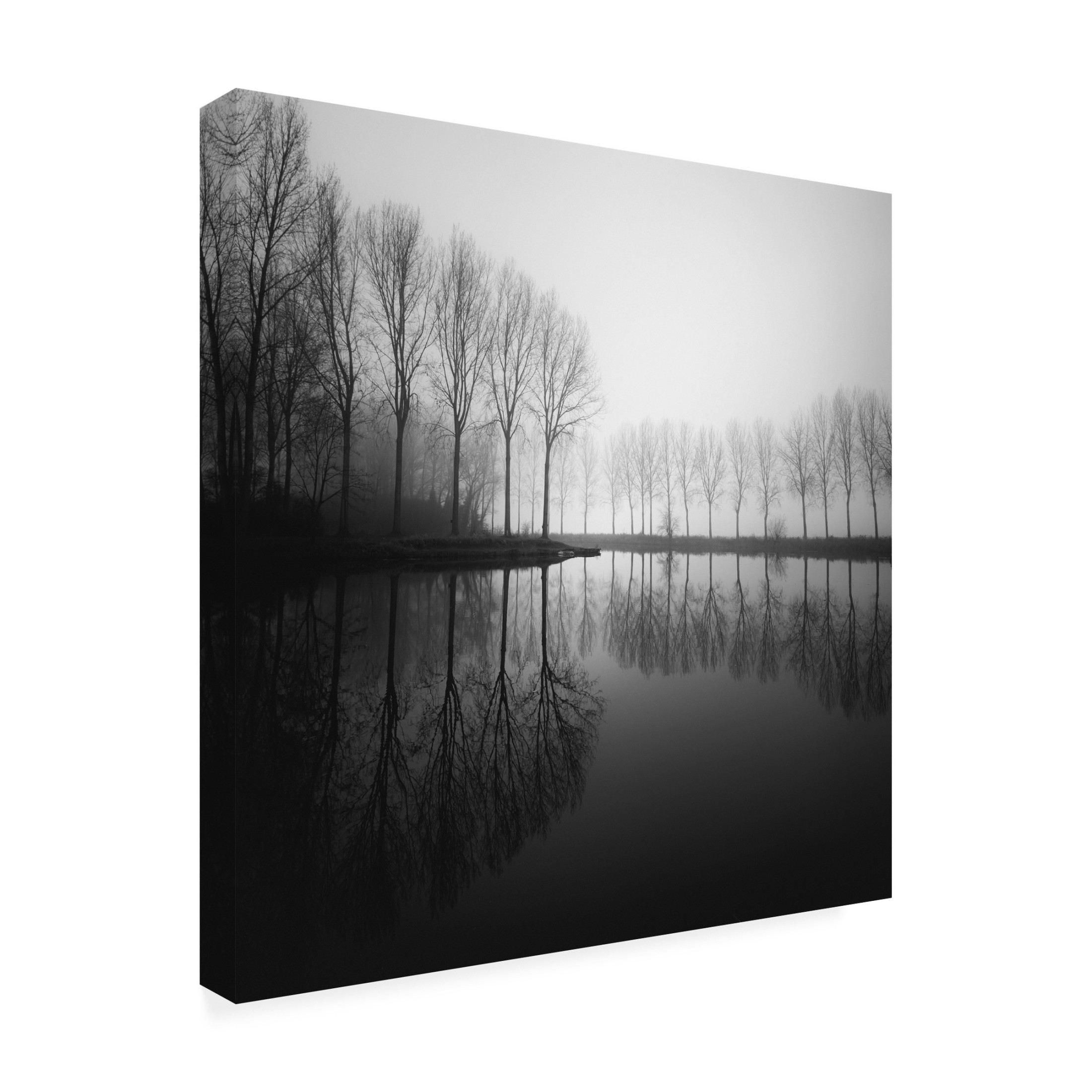 Trademark Fine Art Christophe Staelens In Dreams Canvas Wall Art