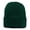 Forest-Green, variant on Sportsman Jersey Lined Cuffed Beanie, 100% Acrylic Soft Warm Casual Fashion Winter Hat (Black, )