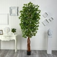thumbnail image 3 of Nearly Natural 7.5' Super Deluxe Ficus Tree, 3 of 3