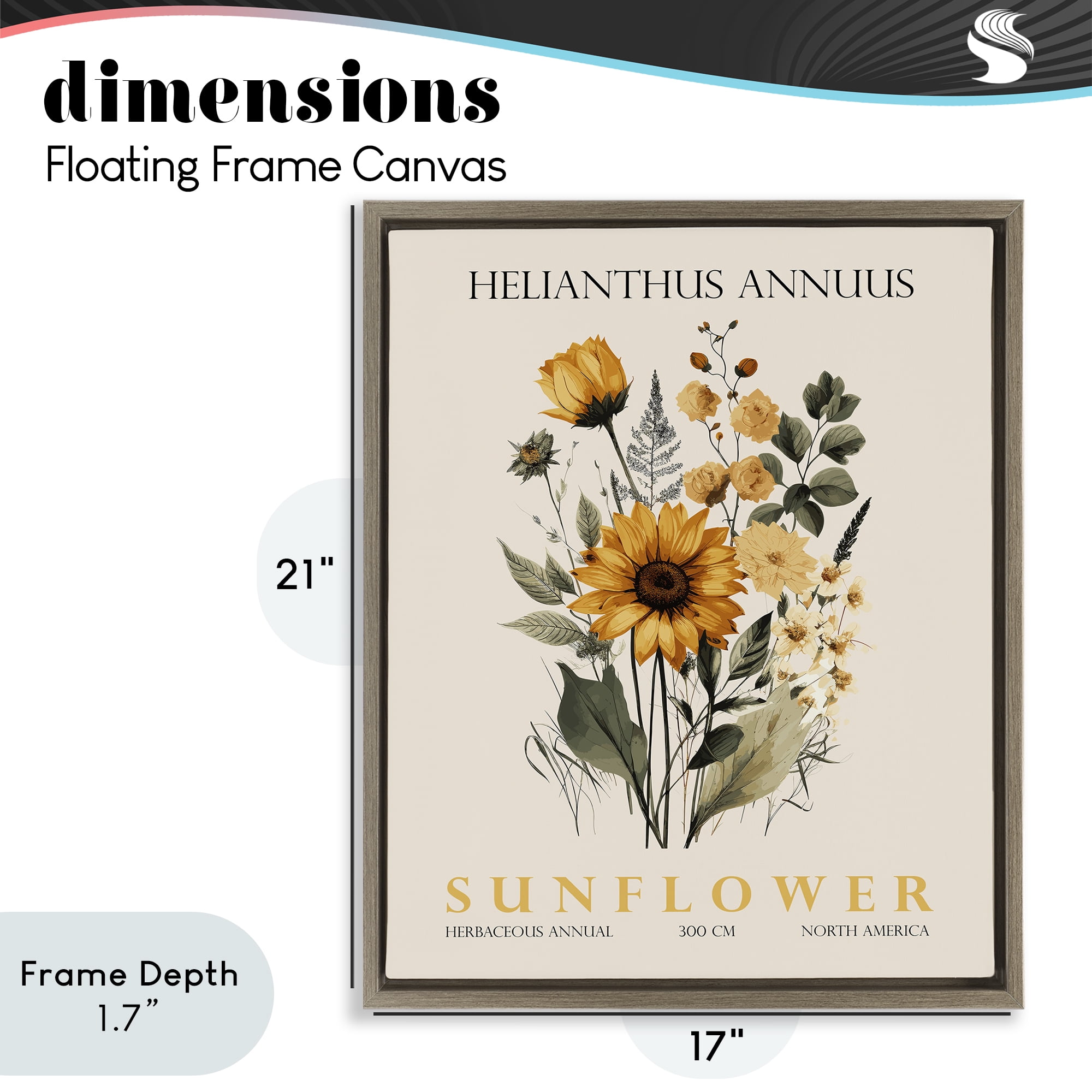 Stupell Industries Natural Sunflower Bundle Brown Framed Floater Canvas Wall Art, design by Christopher Giampietro