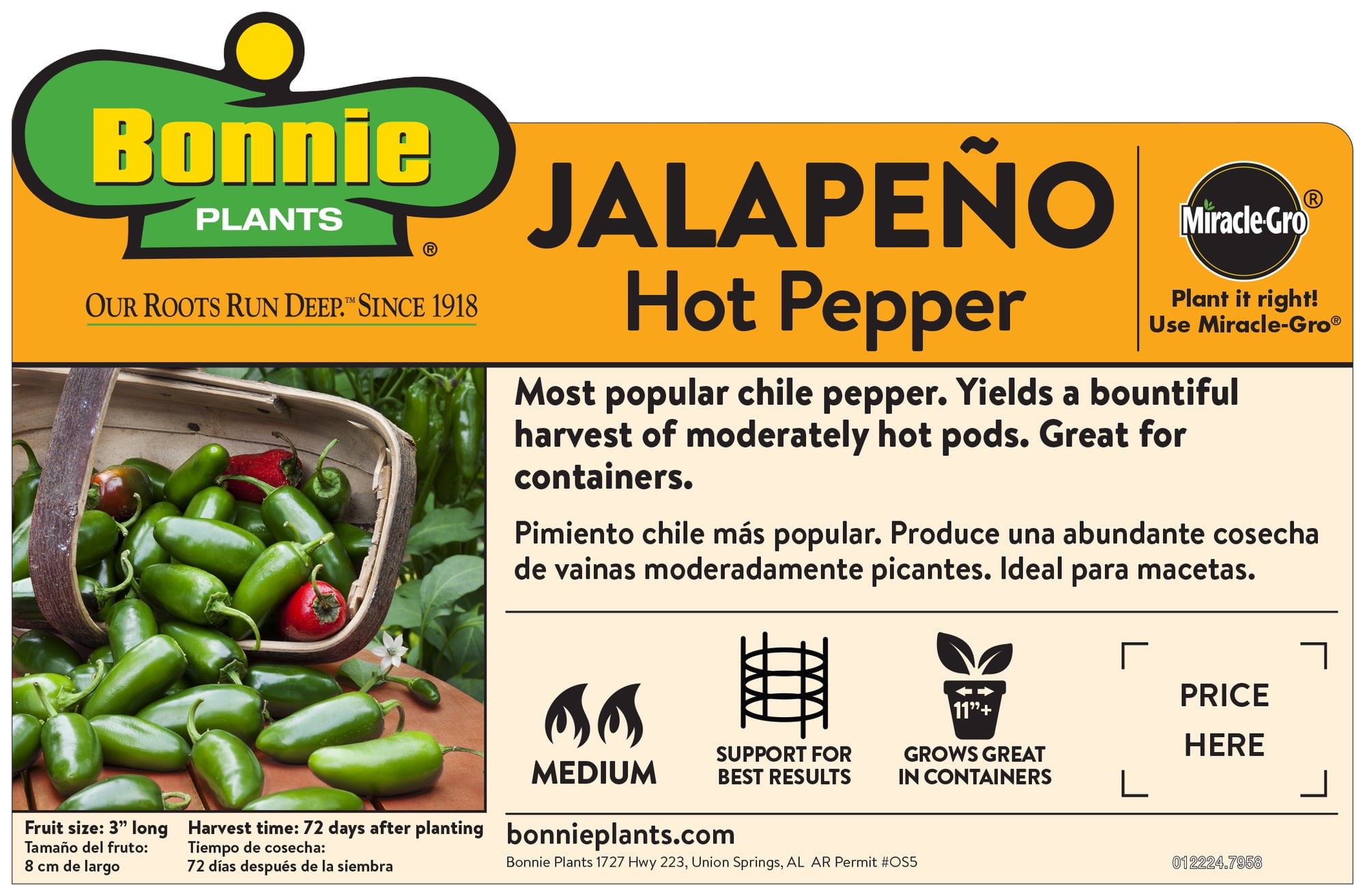 Bonnie Plants Jalapeño Hot Pepper 2.5 gal. Cage, Live Plant