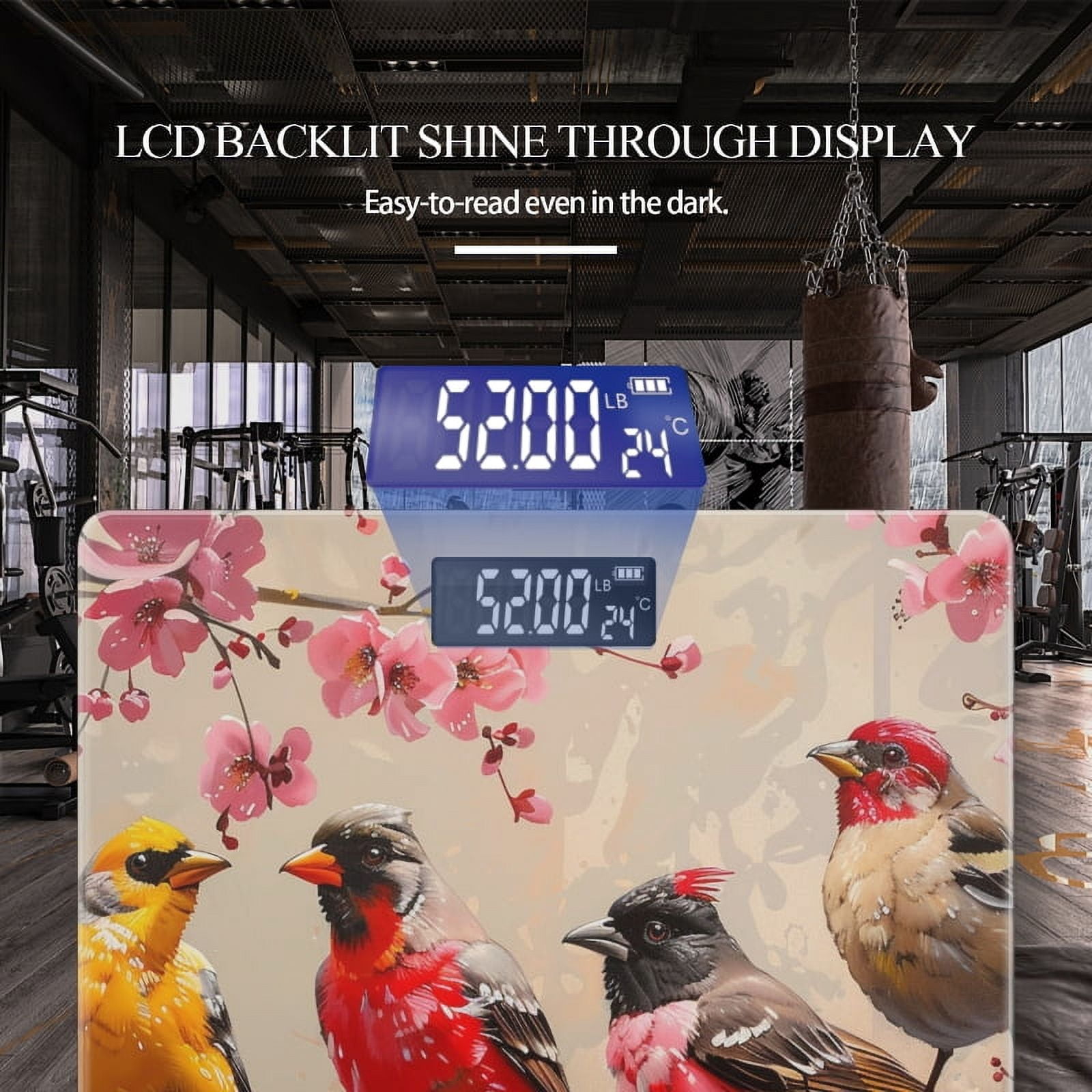 Bathroom Scale, Highly Accurate Digital Body Scale,Precisely Measures Weight up to 400 lbs-Birds Sitting On Cherry Blossom Tree Branch
