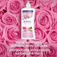thumbnail image 4 of Loción suavizante para manos y cuerpo St. Ives, aceite de rosa y argán, 620 ml, 4 of 5