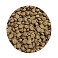 thumbnail image 2 of Alimento Para Perro Cachorro Grateful Junior 20 Kg, 2 of 3