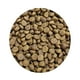 thumbnail image 3 of Alimento Para Perro Cachorro Grateful Junior 20 Kg, 3 of 3