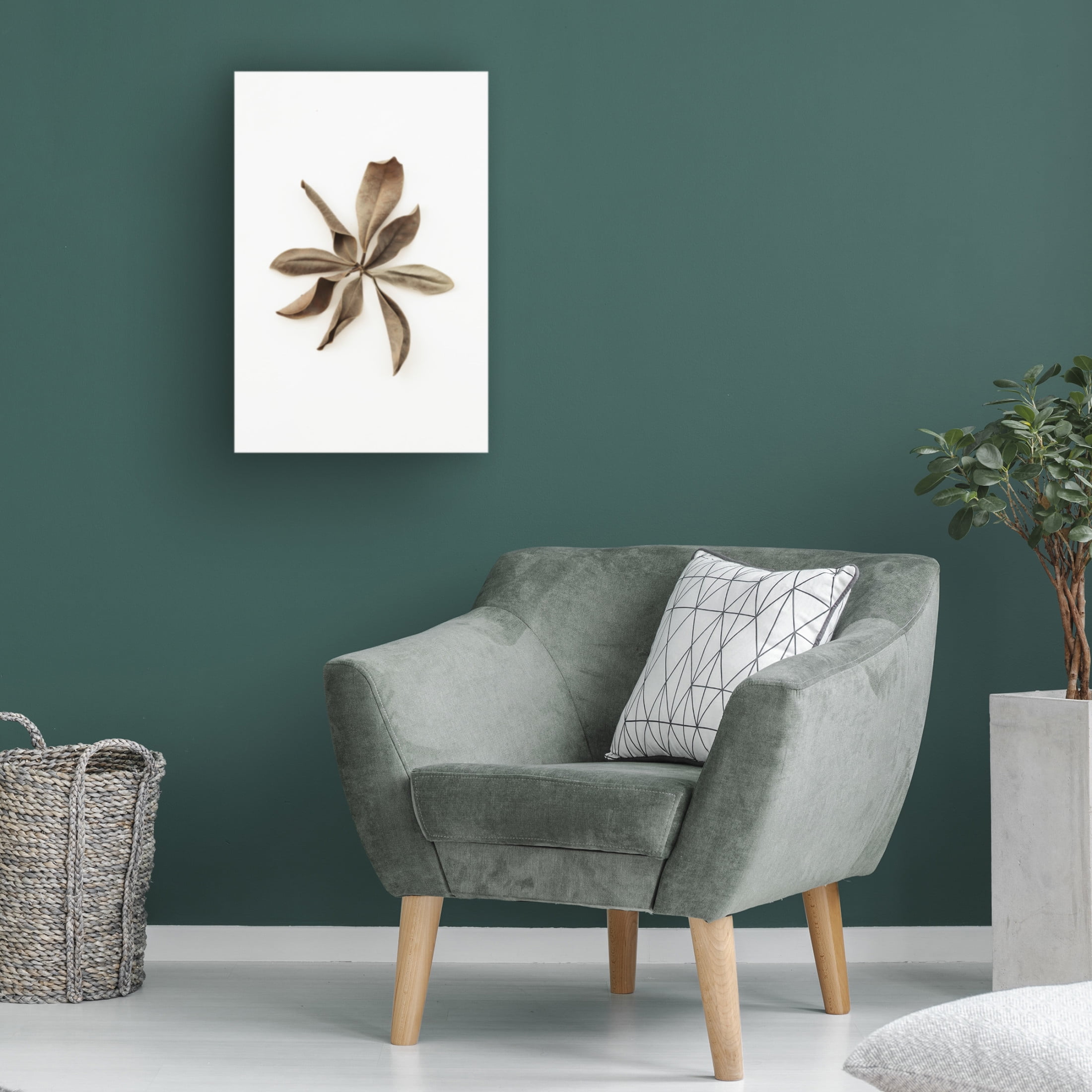 Trademark Fine Art Pictufy Studio Dried Leaves 3 Canvas Wall Art