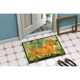 thumbnail image 2 of Carolines Treasures SS8884MAT 18 x 27 in. Norwich Terrier Indoor Outdoor Doormat, 2 of 4