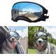 thumbnail image 1 of Gafas para perros, gafas de sol con protección Uv para perros con correa ajustable, gafas antivaho a prueba de viento para mascotas al aire libre, 1 of 5