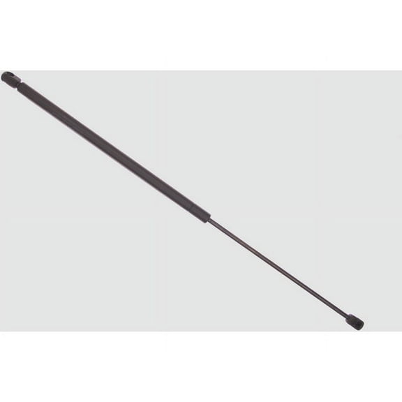 Hood Strut - Compatible with 1999 - 2010 Volkswagen Beetle 2000 2001 2002 2003 2004 2005 2006 2007 2008 2009