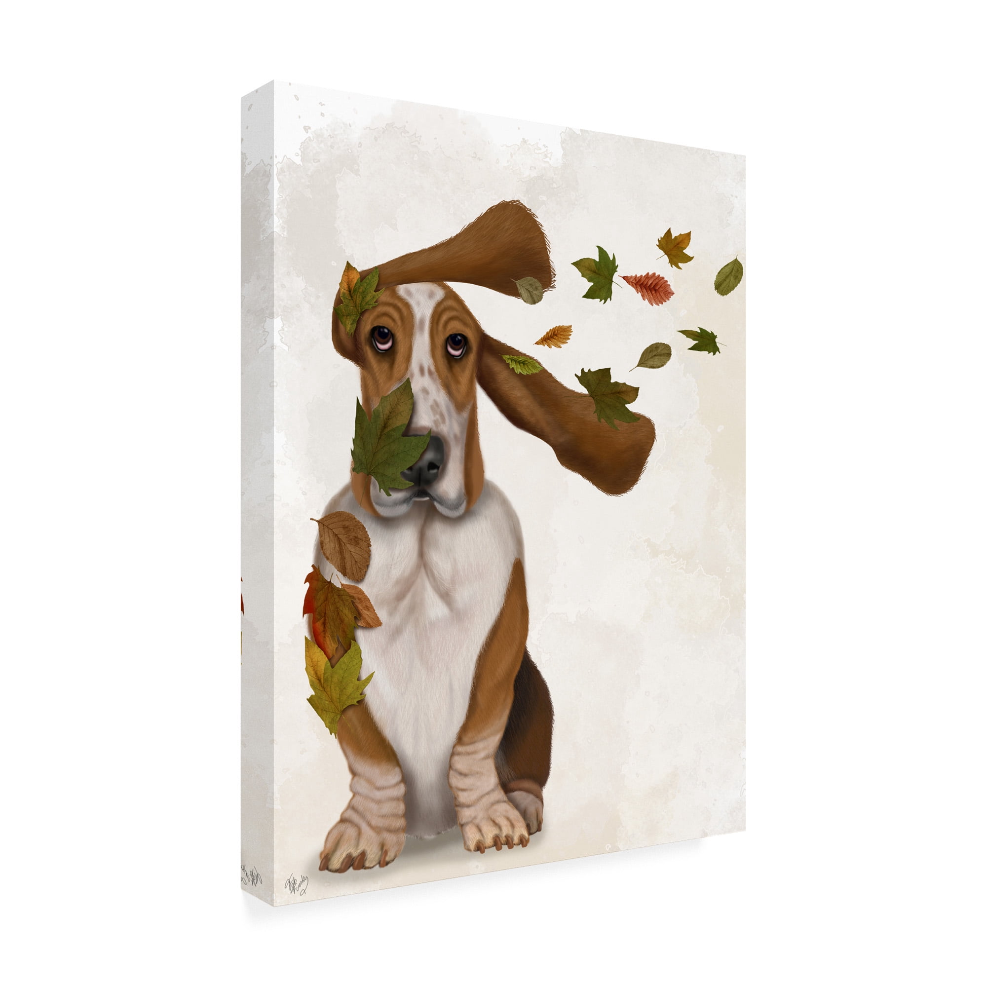 Trademark Fine Art 'Basset Hound Windswept and Interesting' Canvas Art by Fab Funky