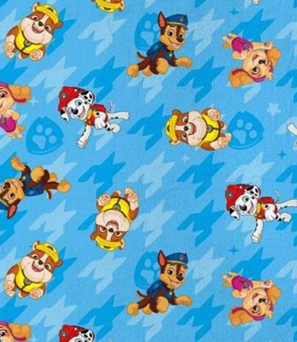 Paw Patrol Blue Rescue Kids Outdoor Blanket, 50 x 60 inches