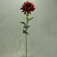 thumbnail image 3 of 4 Pcs, 28 Inch Long Artificial Mum Stem Boasts 6" Wide Bloom On Top Leaf Covered Stem Adds Gorgeous, Natural Touch To Fall Arrangements & Décor - Brown, 3 of 5