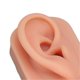 thumbnail image 3 of Silicone Piercing Practice Model Simulation Soft Flexible Nose Ears Model for Display Teaching Light Skin Color, 3 of 5