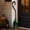 Green, variant on Detachable 2-Piece Witch Broomstick Prop, 88cm Plastic Wizard Broom with Mesh Tail (Purple)