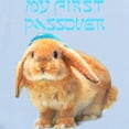 thumbnail image 2 of CafePress - My First Passover Body Suit - Baby Light Bodysuit, Size Newborn - 24 Months, 2 of 4