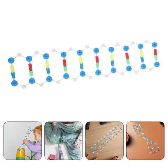 ELAYARD 2Pcs Self Assembling Dna Model Kit Assorted Color for Biology Genetics Education