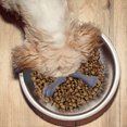 thumbnail image 4 of 3Pcs Silicone Slow Feeder Insert for Dog Bowls- Bone Design Slow Feeder Dog Bowl Insert to Slow Down Eating- Easy to Clean Slow Feeder Dog Bowls Accessories with Suction Cup for Dog Bowl, 4 of 5