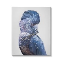 Stupell Industries Grey Cockatoo Portrait Animals & Insects Photography Gallery Wrapped Canvas Print Wall Art, 36 x 48