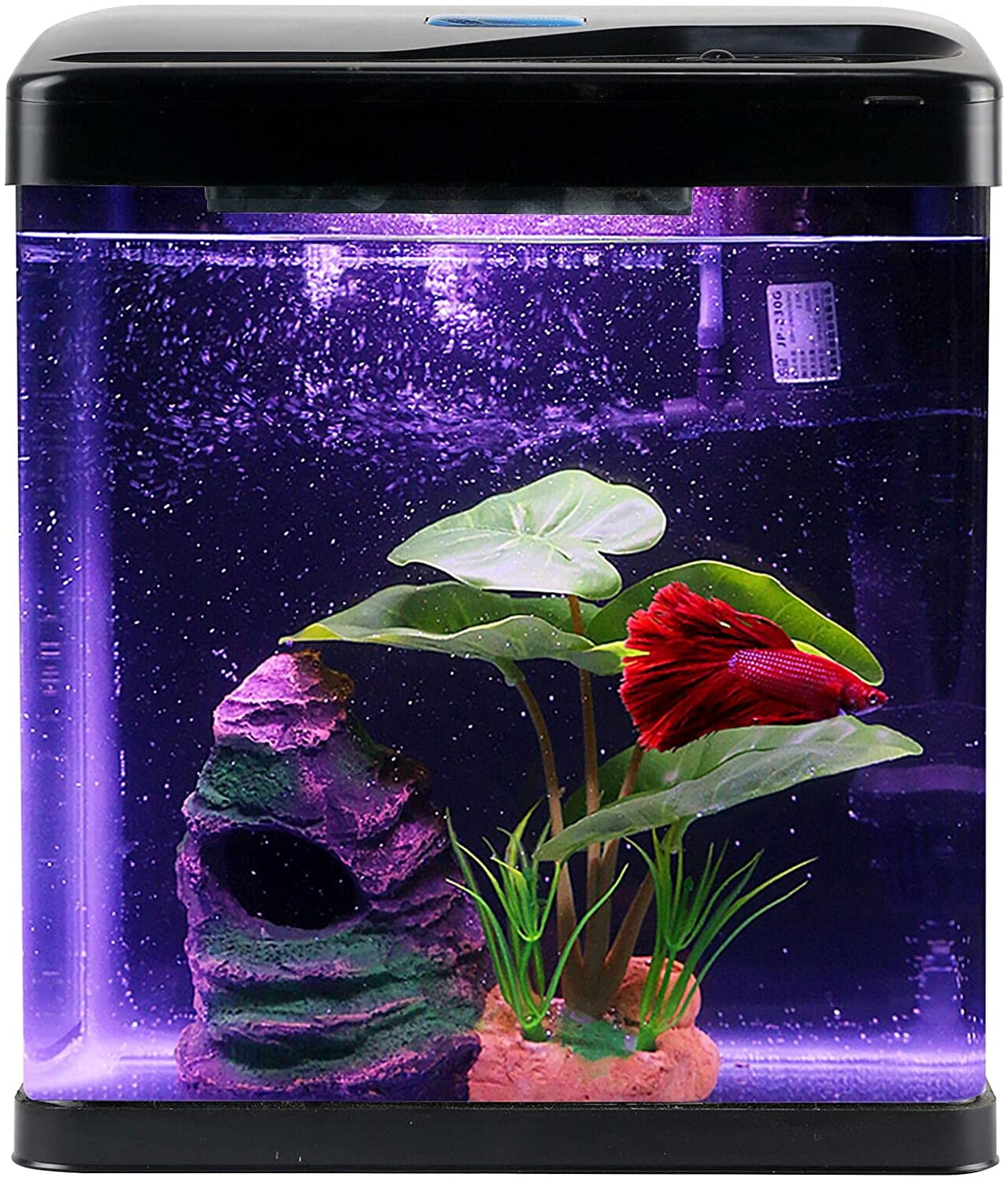 Betta Fish Tank Black 2 Gallon Small Glass Display