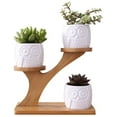 thumbnail image 1 of 3 Pcs Jardinière en Céramique pour Succulentes Forme de Hibou avec Support en Bambou, 1 of 4