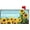 Sunflowers, variant on Sunflowers Waterproof Mail Cover Magnetic Mailbox Wraps Post Letter Box Cover for Garden Home Decor 21x18 in