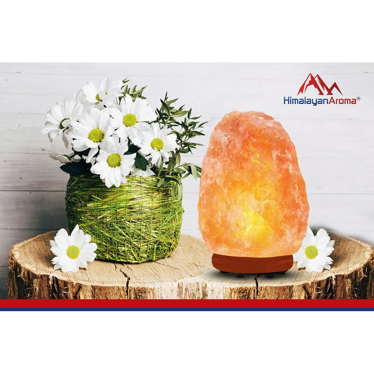 Himalayan sale Salt Lamp Decor