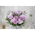 thumbnail image 2 of SuperTrouper™ Lavender Eye Dianthus - Quart Pot, 2 of 2