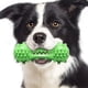 thumbnail image 1 of Cepillo de dientes para perros, juguete masticable, palo de limpieza dental de goma resistente a mordeduras para perros pequeños y medianos (verde), 1 of 5