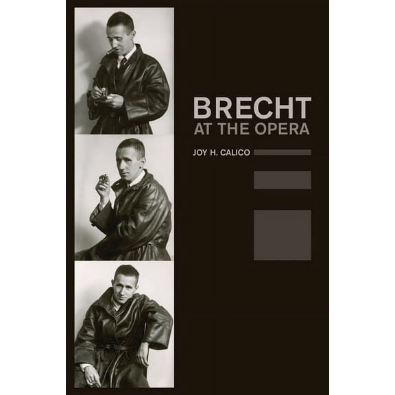 California Studies in 20th-Century Music Brecht at the Opera: Volume 9, Book 9, (Paperback)