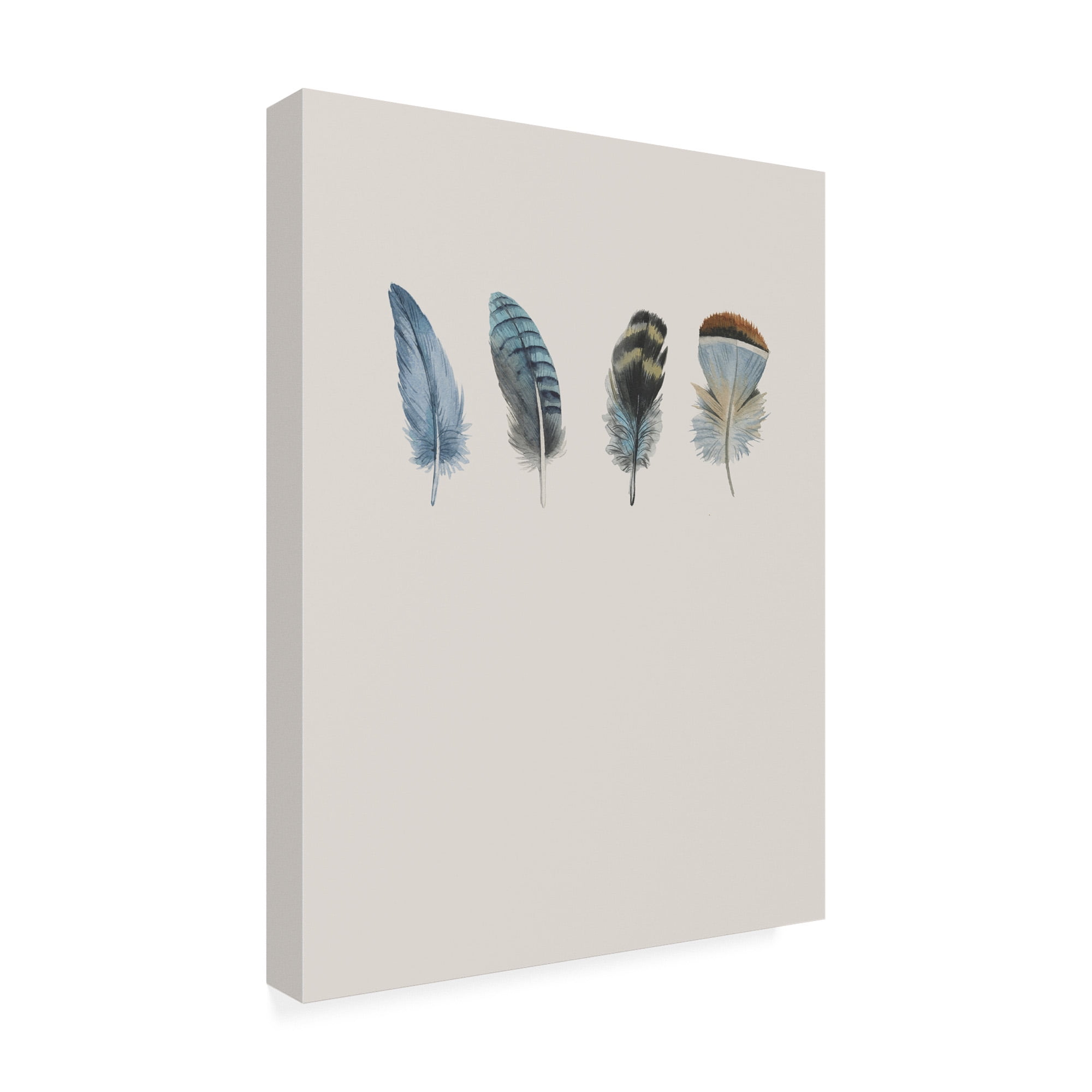 Trademark Fine Art 'Feather 11' Canvas Art by Incado