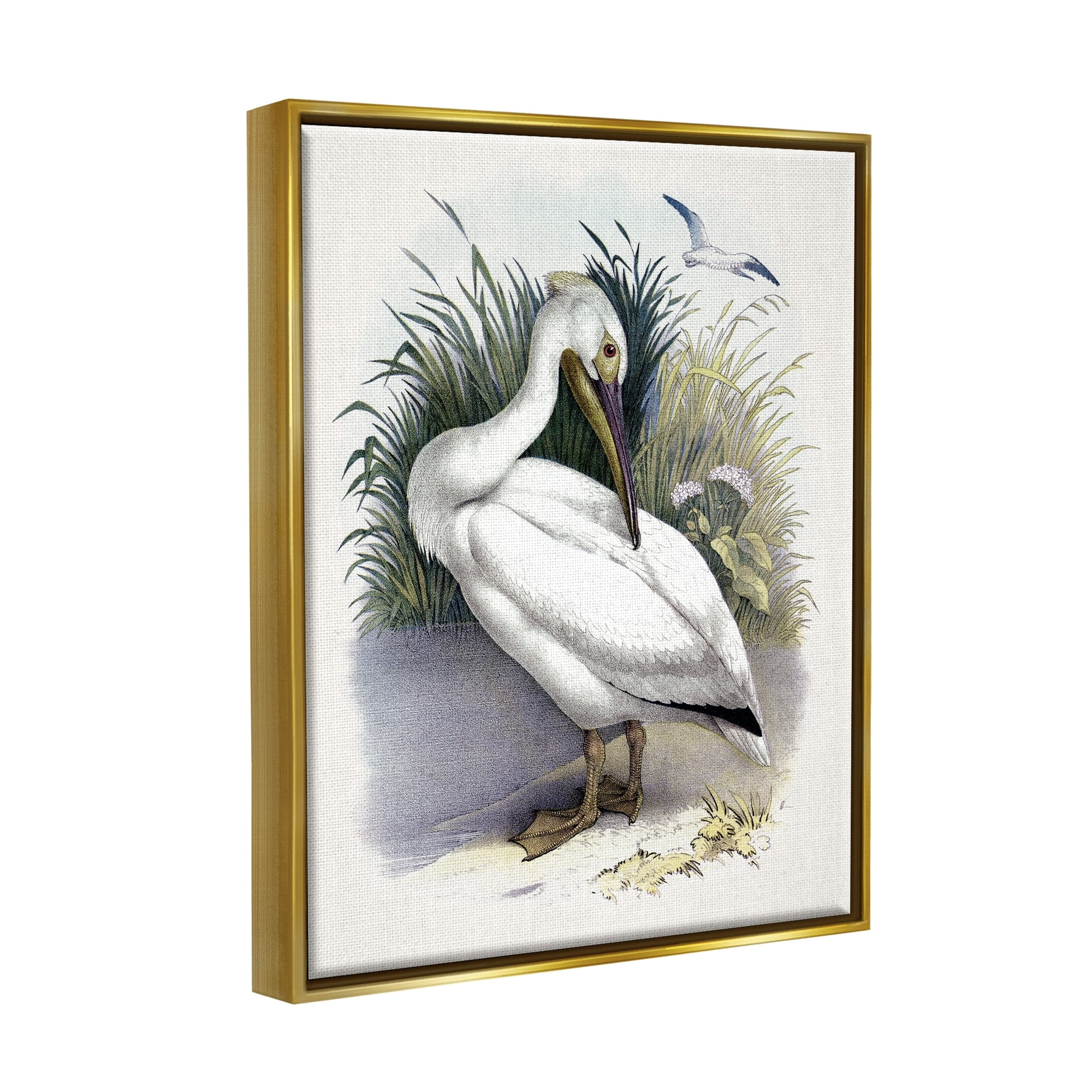 Stupell Industries White Pelican Bird Preening Grassy Riverbank Shore Painting Metallic Gold Floating Framed Canvas Print Wall Art, Design by Piddix